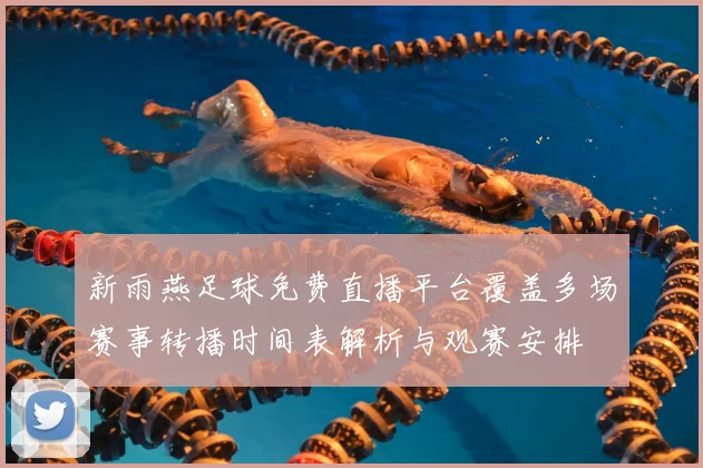 新雨燕足球免费直播平台覆盖多场赛事转播时间表解析与观赛安排