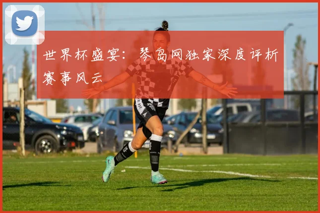世界杯盛宴：琴岛网独家深度评析赛事风云