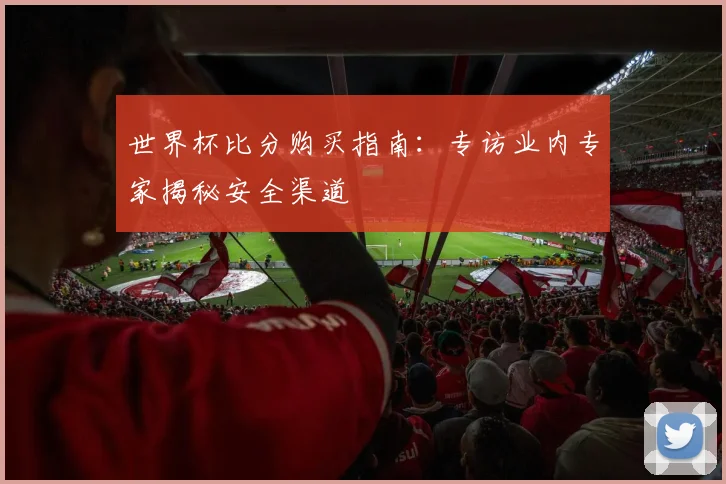 世界杯比分购买指南：专访业内专家揭秘安全渠道