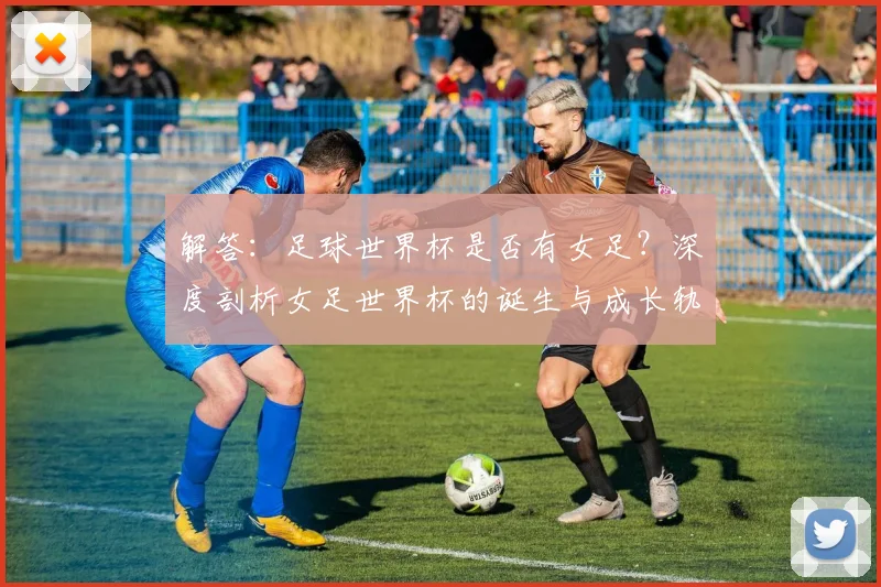 解答：足球世界杯是否有女足？深度剖析女足世界杯的诞生与成长轨迹