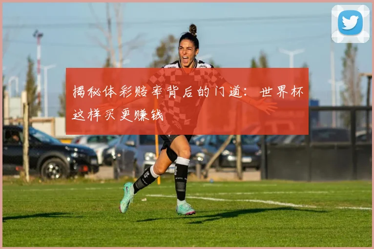 揭秘体彩赔率背后的门道：世界杯这样买更赚钱