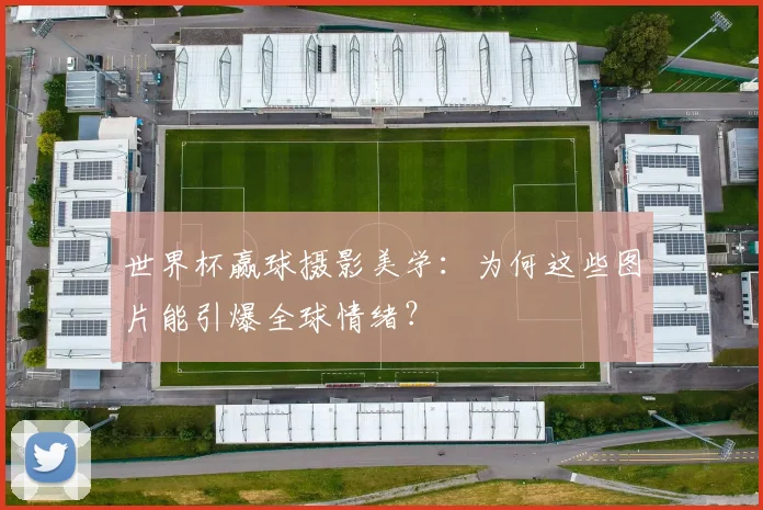 世界杯赢球摄影美学：为何这些图片能引爆全球情绪？